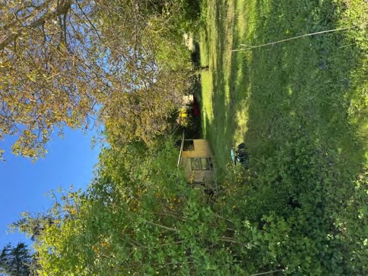 land- und forstwirtschaftlich genutztes Grundstück in Reinheim — Bild 3