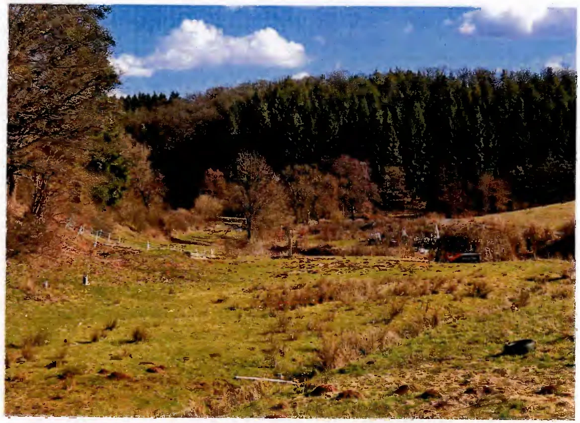 land- und forstwirtschaftlich genutztes Grundstück in Frankenberg — Bild 2