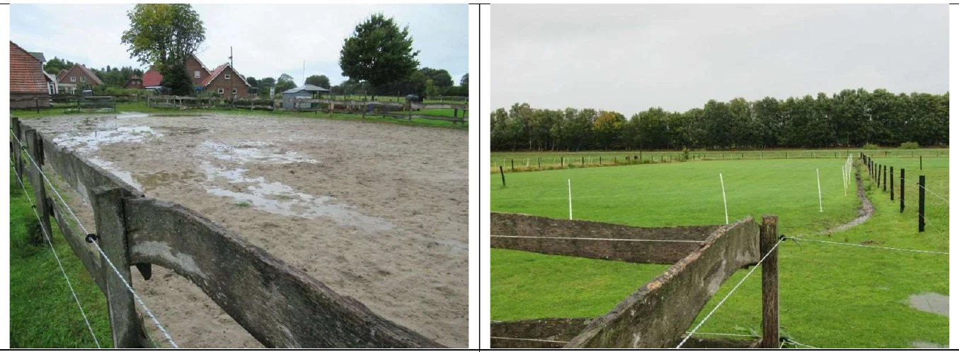 land- und forstwirtschaftlich genutztes Grundstück, (Rohbau) in Moorweg — Bild 3