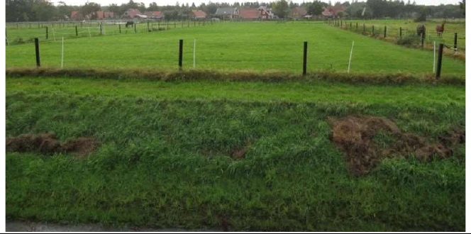 land- und forstwirtschaftlich genutztes Grundstück, (Rohbau) in Moorweg — Bild 2