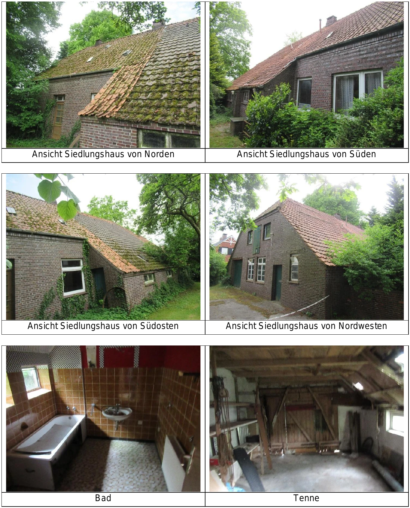 Einfamilienhaus, land- und forstwirtschaftlich genutztes Grundstück in Reepsholt — Bild 3