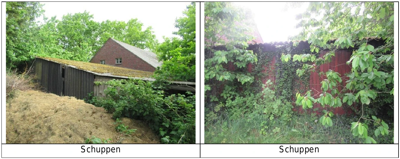 Einfamilienhaus, land- und forstwirtschaftlich genutztes Grundstück in Reepsholt — Bild 2