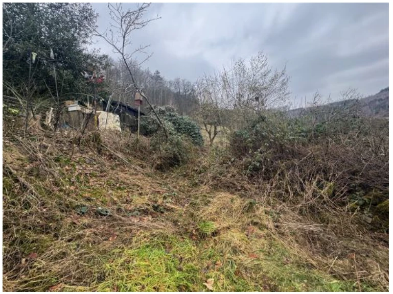 Einfamilienhaus, Stallgebäude in Iserlohn — Bild 2