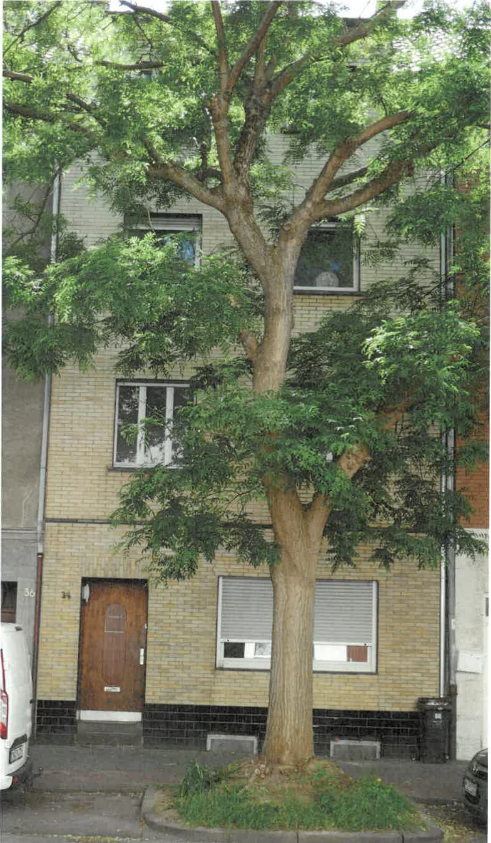 Mehrfamilienhaus in Düren — Bild 3
