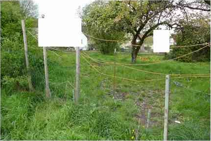 Einfamilienhaus, unbebautes Grundstück in Romrod — Bild 2