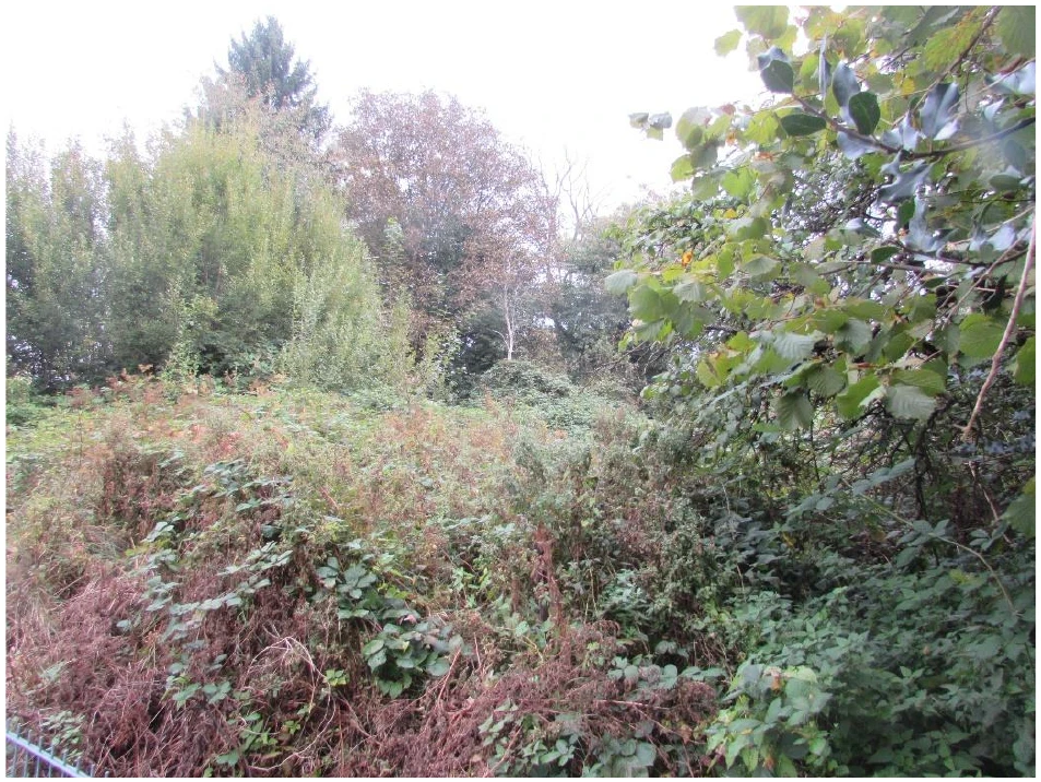 unbebautes Grundstück in Bergisch Gladbach — Bild 3