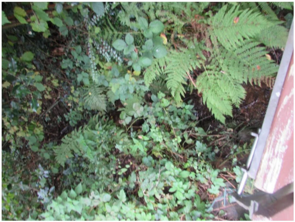 unbebautes Grundstück in Bergisch Gladbach — Bild 2