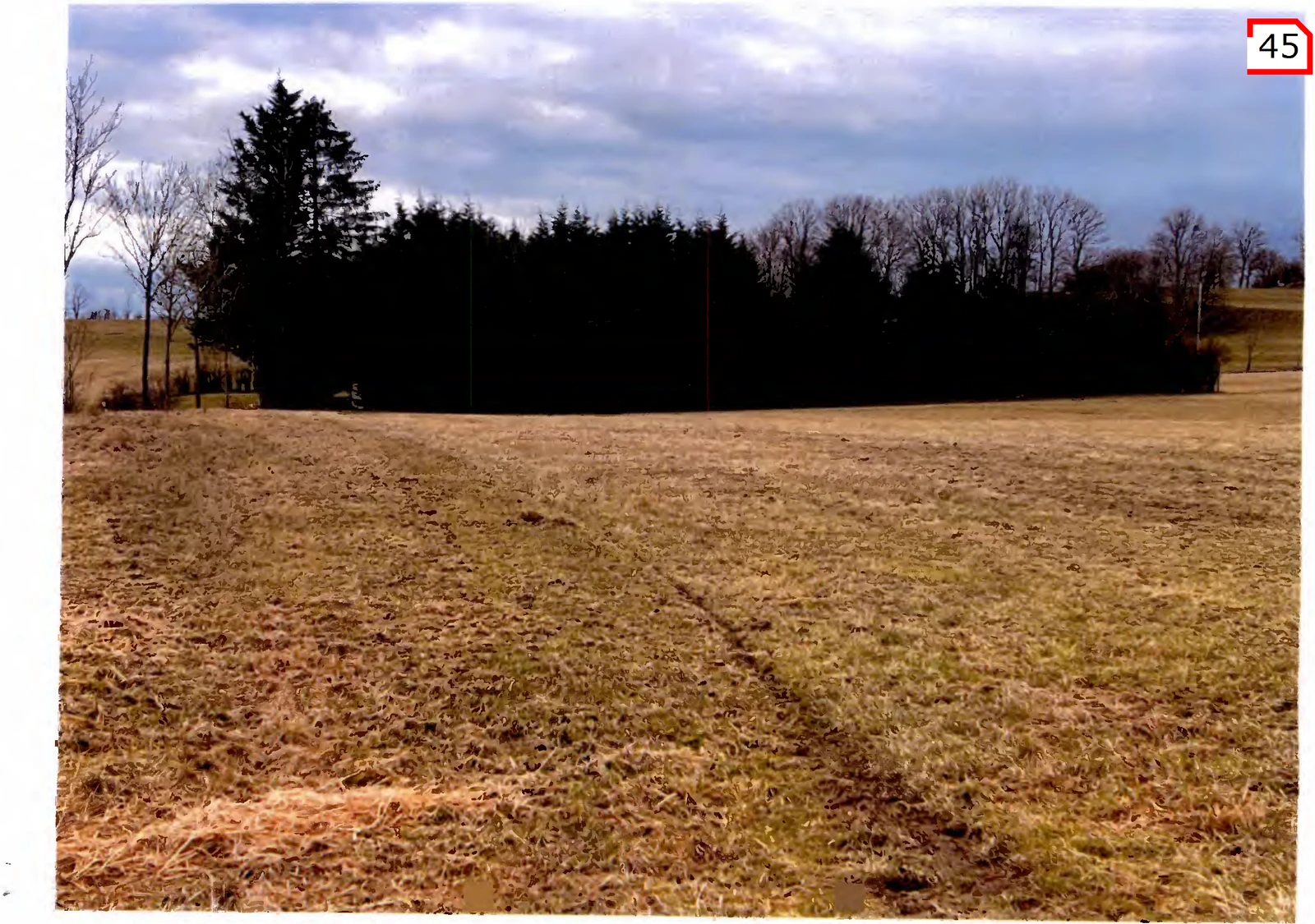 land- und forstwirtschaftlich genutztes Grundstück, Erholungsfläche in Freiensteinau — Bild 3