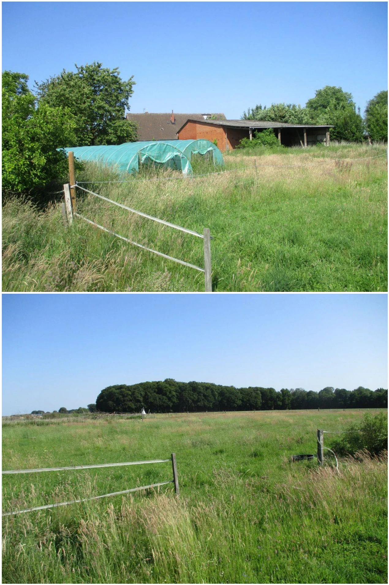 Wohnhaus mit Wirtschaftsdiele, teilunterkellert und teilweise ausgebautes Dachgeschoss in Bassum — Bild 3