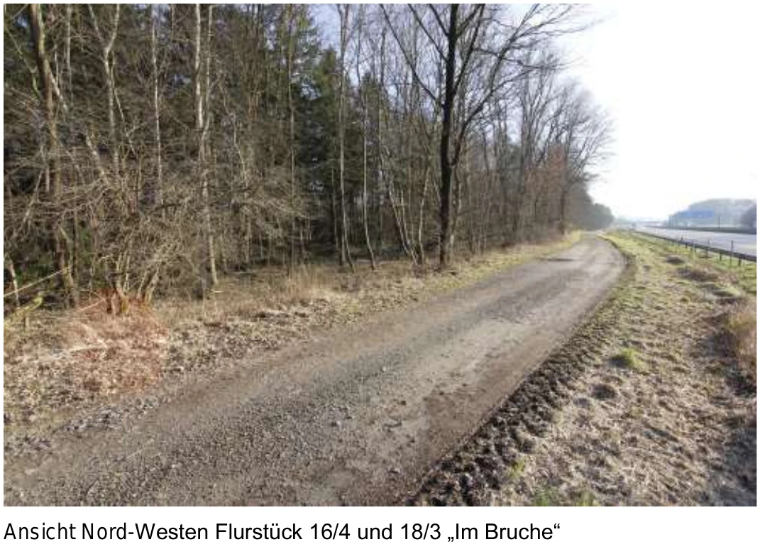 land- und forstwirtschaftlich genutztes Grundstück in Wallenhorst — Bild 3