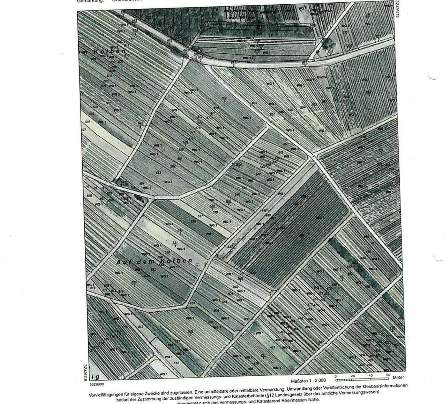Landwirtschaftsfläche in Dromersheim — Bild 3