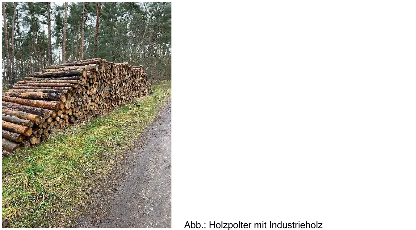 land- und forstwirtschaftlich genutztes Grundstück in Vetschau — Bild 3