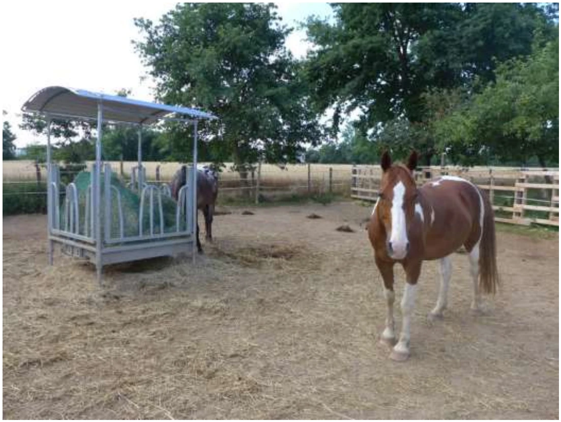 land- und forstwirtschaftlich genutztes Grundstück in Rodgau — Bild 2