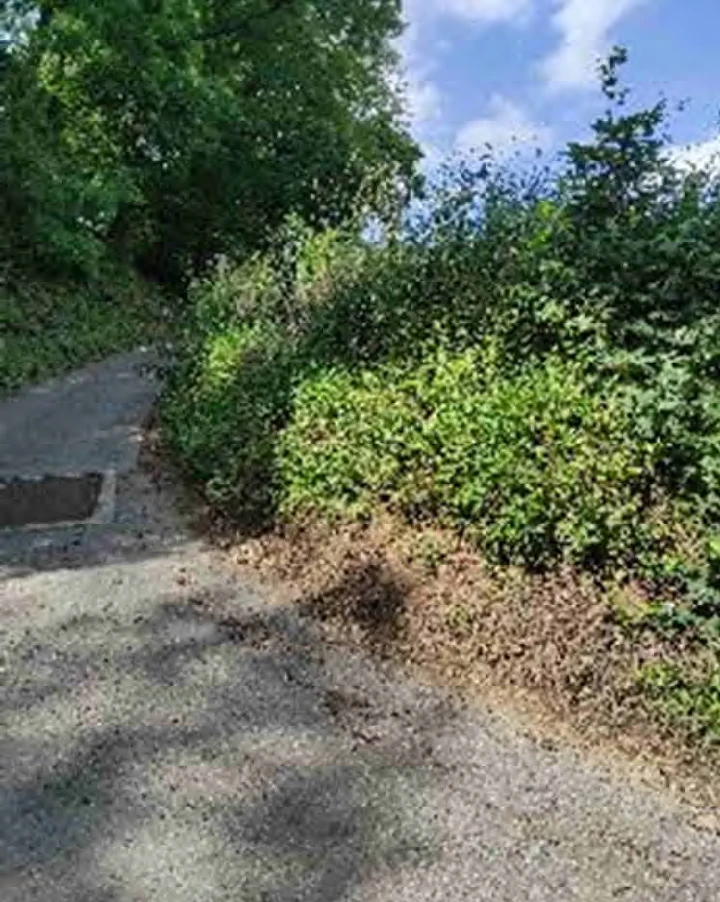 Baugrundstück, land- und forstwirtschaftlich genutztes Grundstück in Lautertal — Bild 3