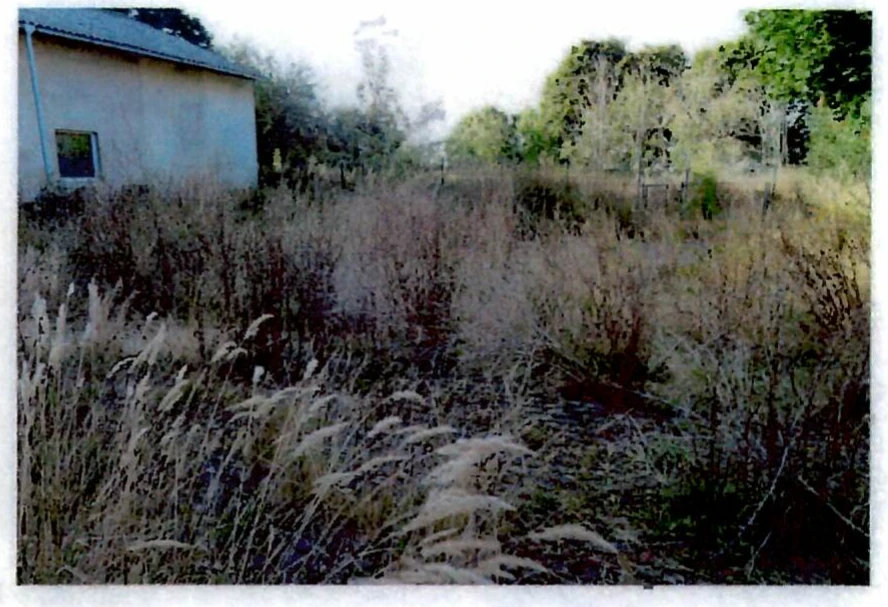 Wohn-/Geschäftshaus in Heideblick — Bild 2