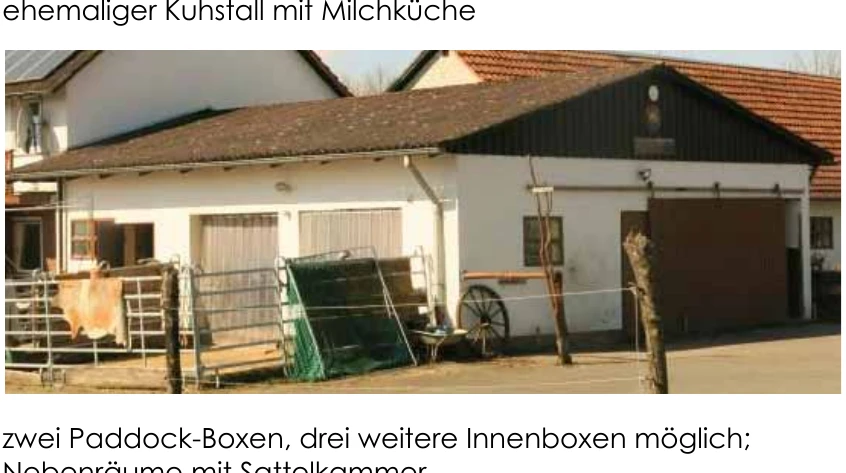 land- und forstwirtschaftlich genutztes Grundstück, Einfamilienhaus, Wohnhaus und Pferde-Immobilie in Willebadessen — Bild 2