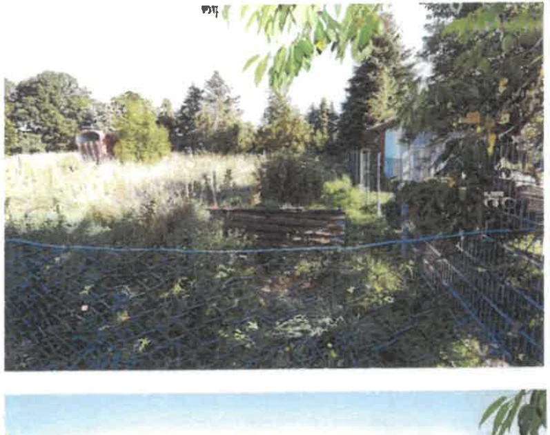Einfamilienhaus in Heideblick