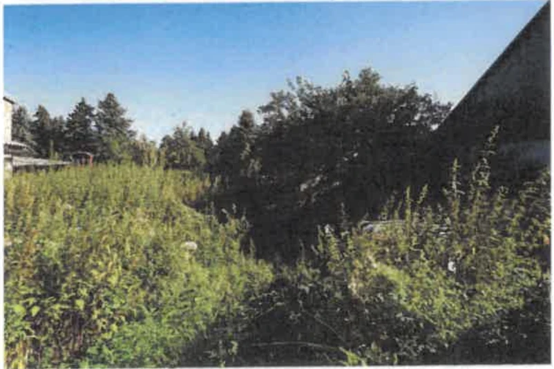 Einfamilienhaus in Heideblick — Bild 3