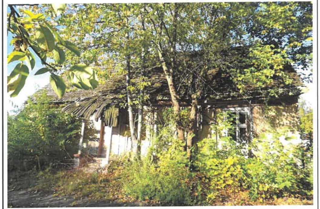 Einfamilienhaus, land- und forstwirtschaftlich genutztes Grundstück in Schlepzig — Bild 2