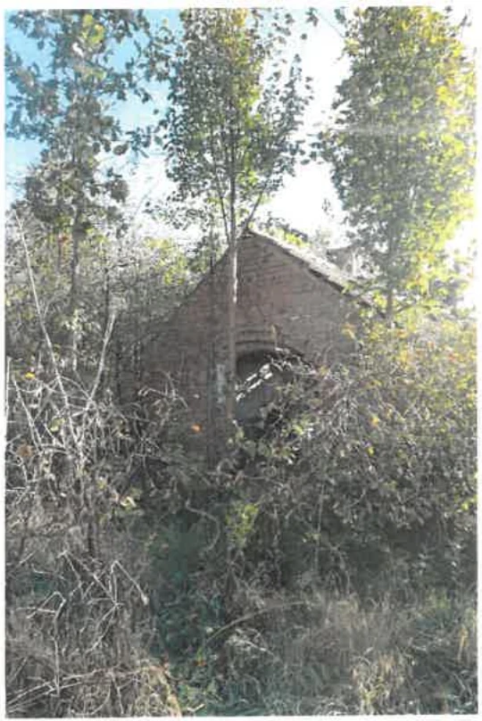 Einfamilienhaus, land- und forstwirtschaftlich genutztes Grundstück in Schlepzig — Bild 3