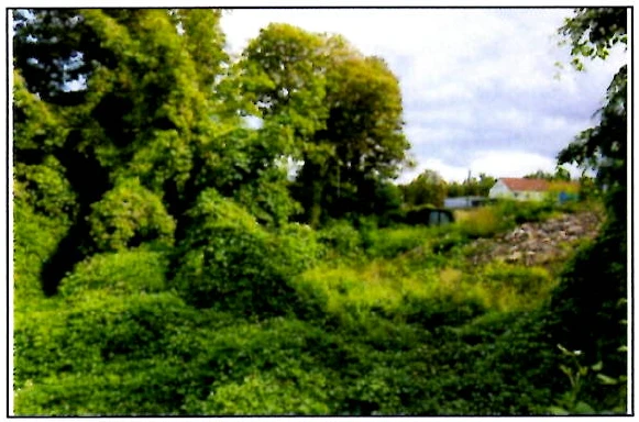 Sonstiges in Eisleben — Bild 3