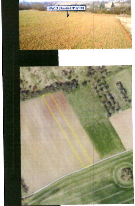 Einfamilienhaus, Sonstiges, landwirtschaftliche Fläche in Wimmelburg — Bild 3