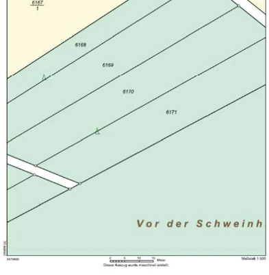 Wald in Usingen — Bild 2