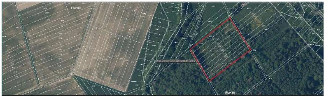 Sonstiges, Ackerland in Usingen — Bild 2