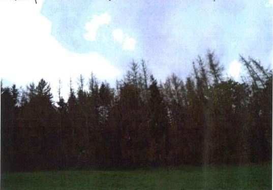 land- und forstwirtschaftlich genutztes Grundstück in Hummeltal — Bild 2