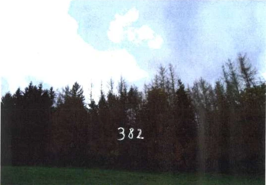 land- und forstwirtschaftlich genutztes Grundstück in Hummeltal — Bild 3