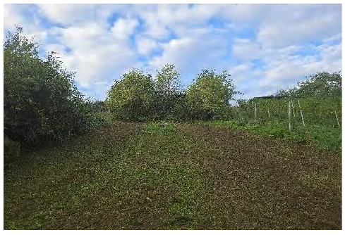 unbebautes Grundstück in Wiesbaden — Bild 3