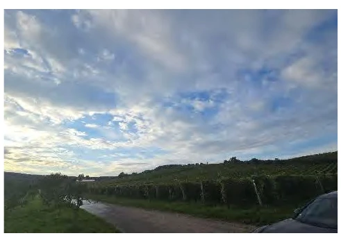 unbebautes Grundstück in Wiesbaden — Bild 2