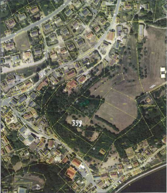 land- und forstwirtschaftlich genutztes Grundstück in Burghaig — Bild 2