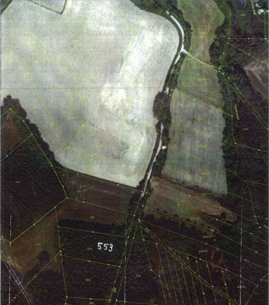 land- und forstwirtschaftlich genutztes Grundstück in Pettendorf — Bild 3