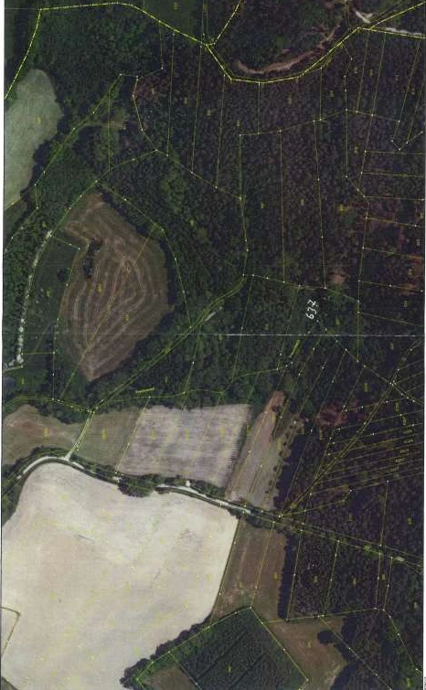 land- und forstwirtschaftlich genutztes Grundstück in Pettendorf — Bild 2