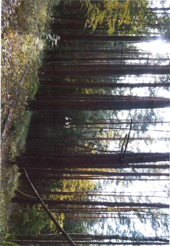 land- und forstwirtschaftlich genutztes Grundstück, Sonstiges in Hummeltal — Bild 3