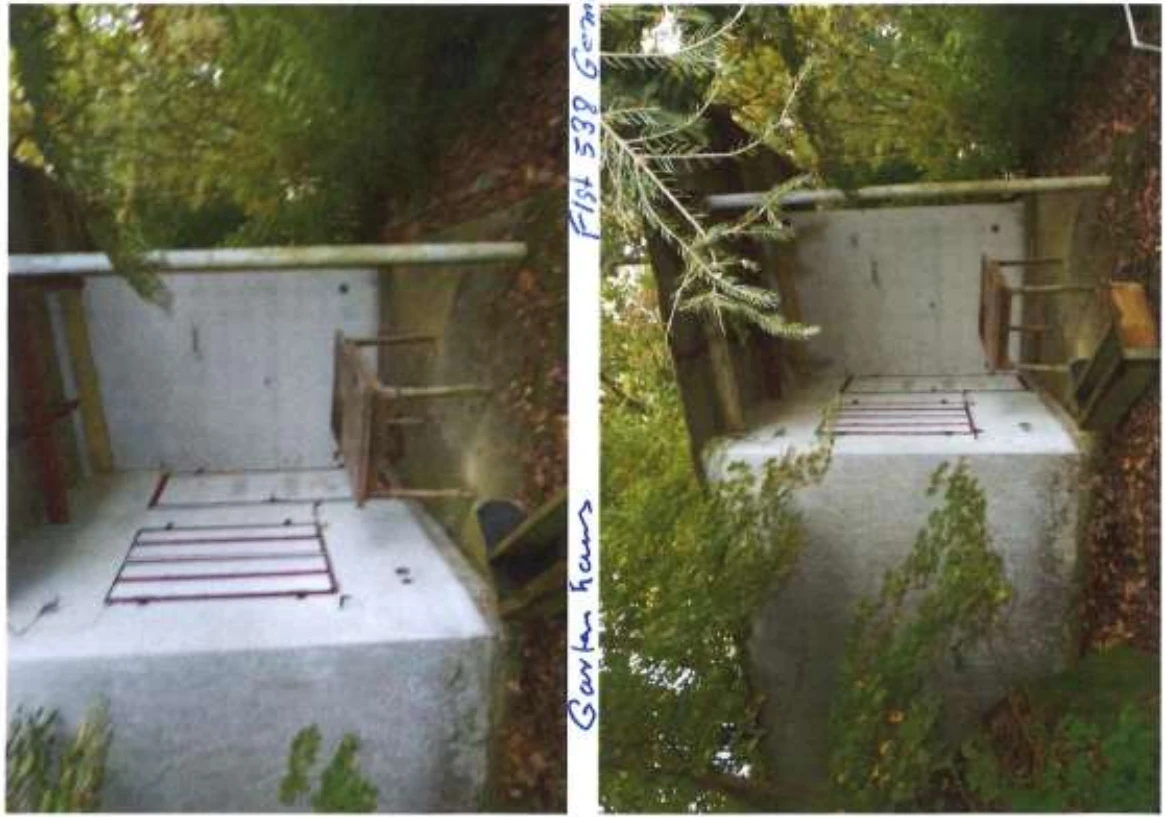 land- und forstwirtschaftlich genutztes Grundstück in Burghaig — Bild 3