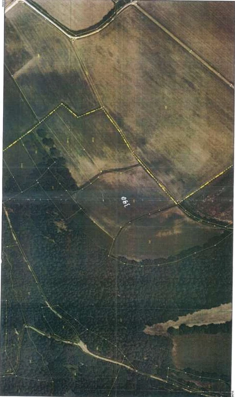 land- and forstwirtschaftlich genutztes Grundstück in Kulmbach