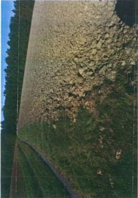 land- and forstwirtschaftlich genutztes Grundstück in Kulmbach — Bild 2