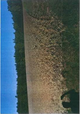 land- and forstwirtschaftlich genutztes Grundstück in Kulmbach — Bild 3
