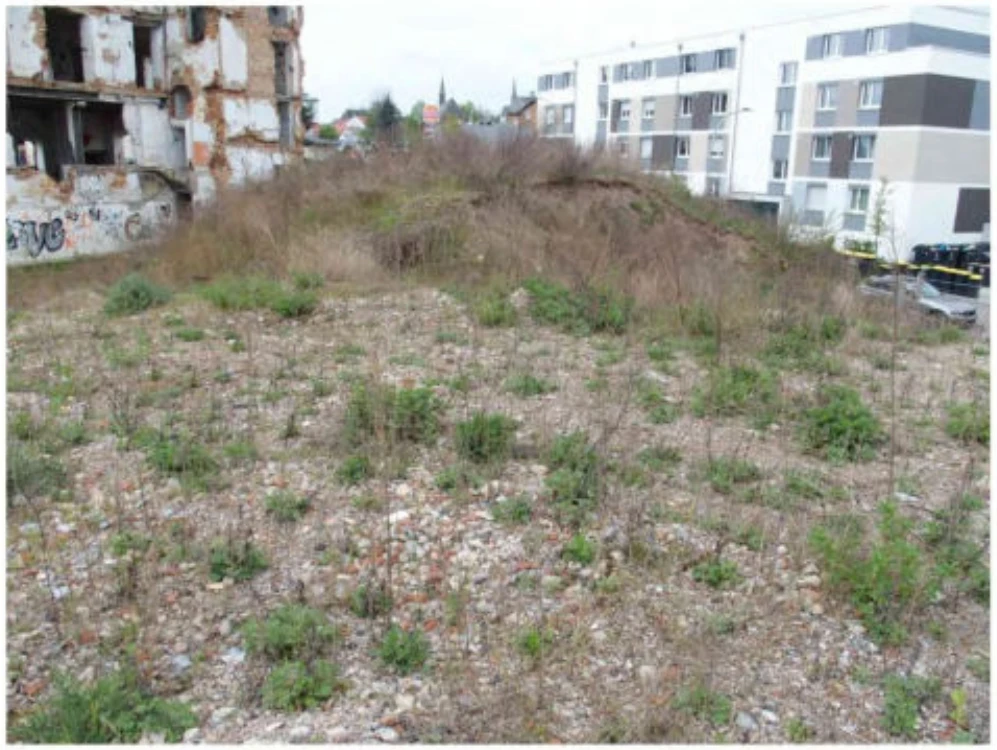 Bau- bzw. Abrissgrundstück in Butzbach — Bild 3