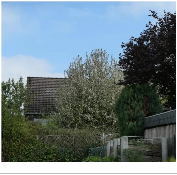 Einfamilienhaus, Garage in Grebenstein — Bild 2