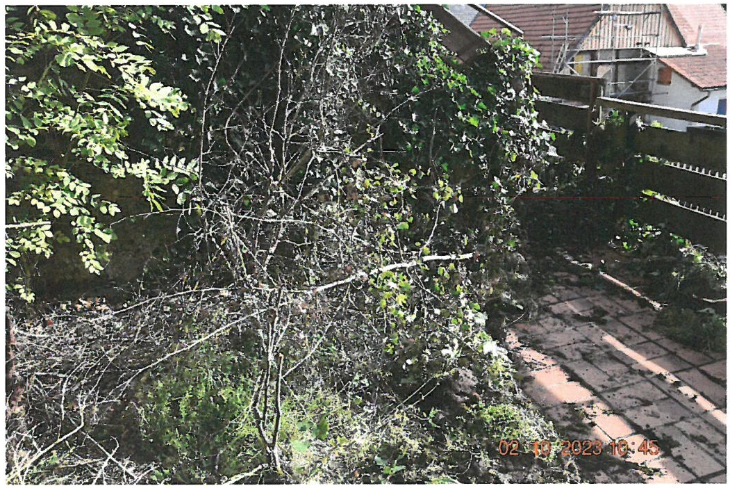 Zweigeschossiges Wohngebäude mit Flachdachtrakt in Liebenau — Bild 3