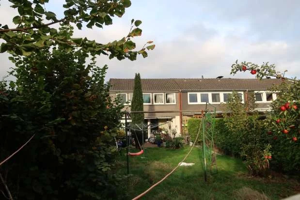 Reihenhaus in Westerstede
