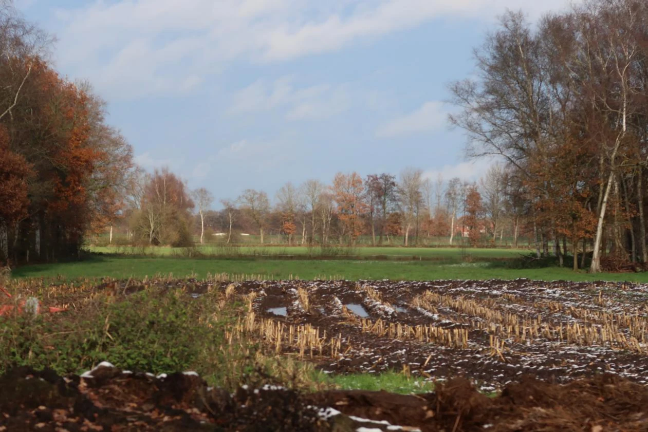 Sonstiges in Apen — Bild 2