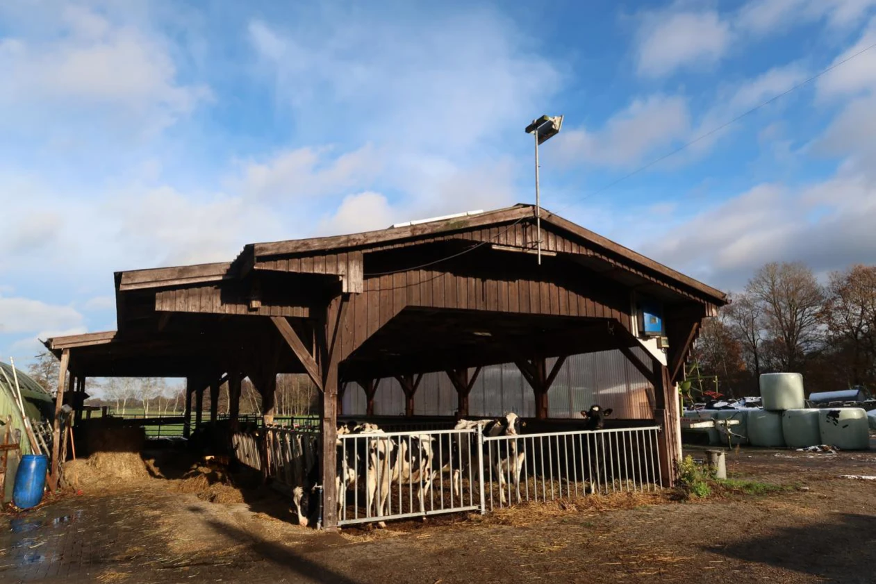Sonstiges in Apen — Bild 3