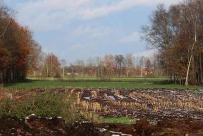 Sonstiges in Apen — Bild 1
