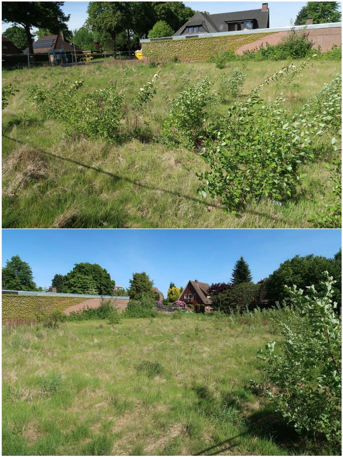 unbebautes Grundstück in Westerstede — Bild 2