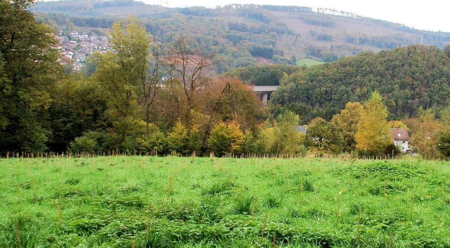 unbebautes Grundstück, Einfamilienhaus in Engelskirchen — Bild 2