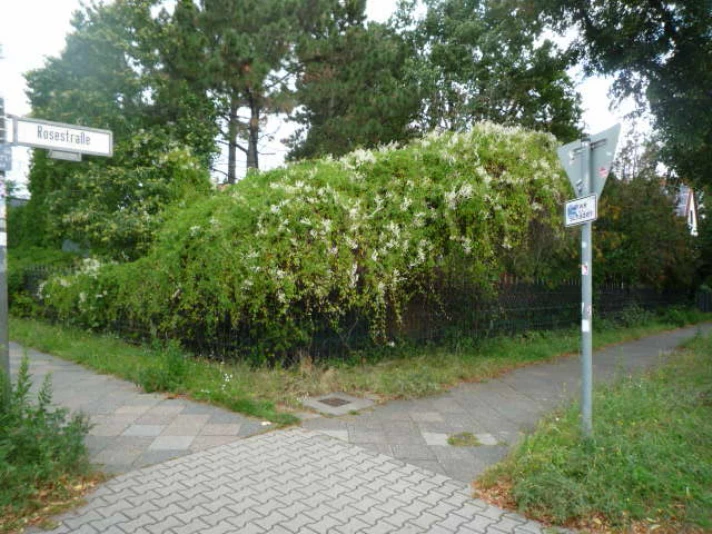 Einfamilienhaus in Berlin